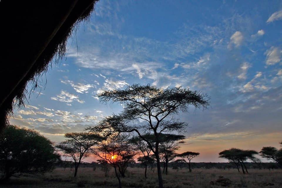 Rafiki Village Watamu Eksteriør billede